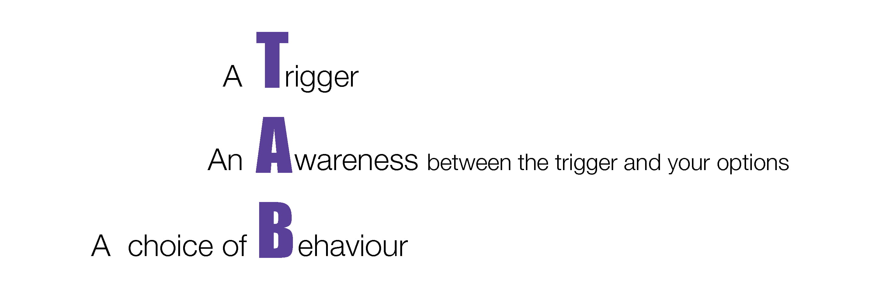 Trigger Awareness Behaviour | Leadership Coaching Sydney