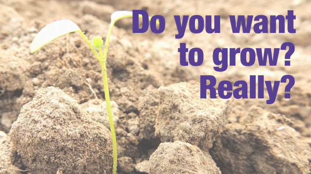 Do you want to grow? Really? | Leadership Development and Training Sydney, Australia